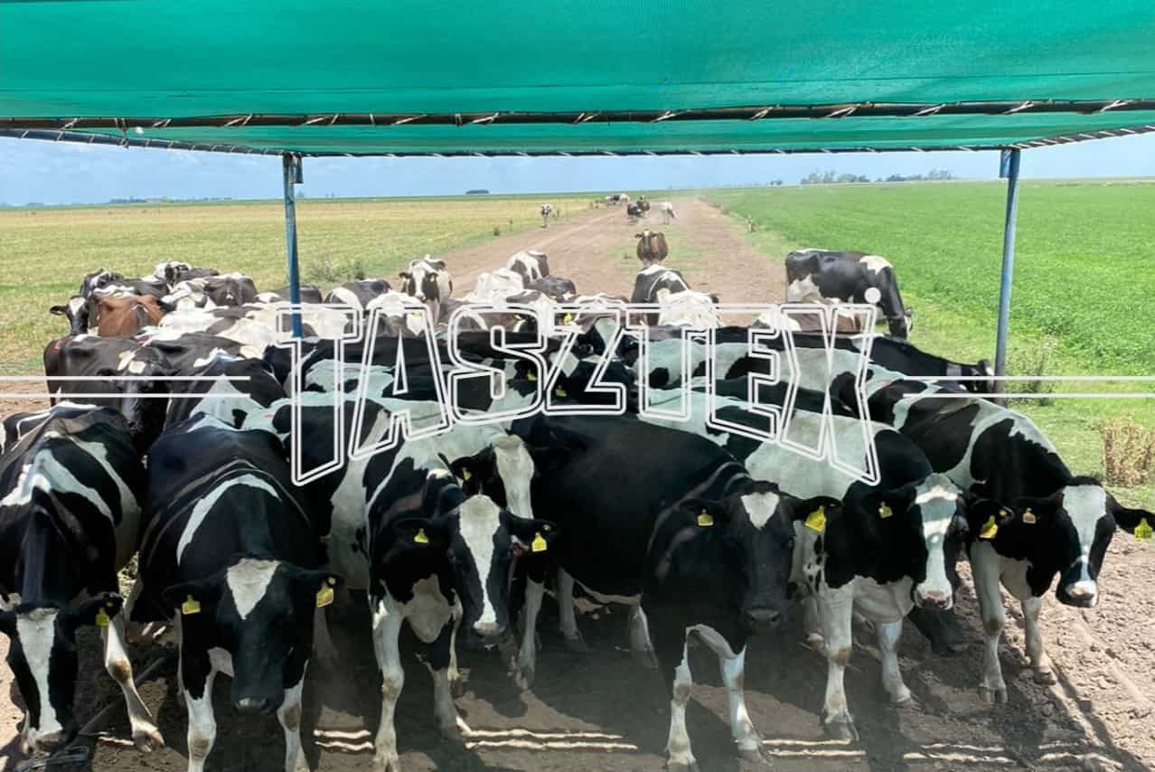 Tasztex - Sombras para Ganado